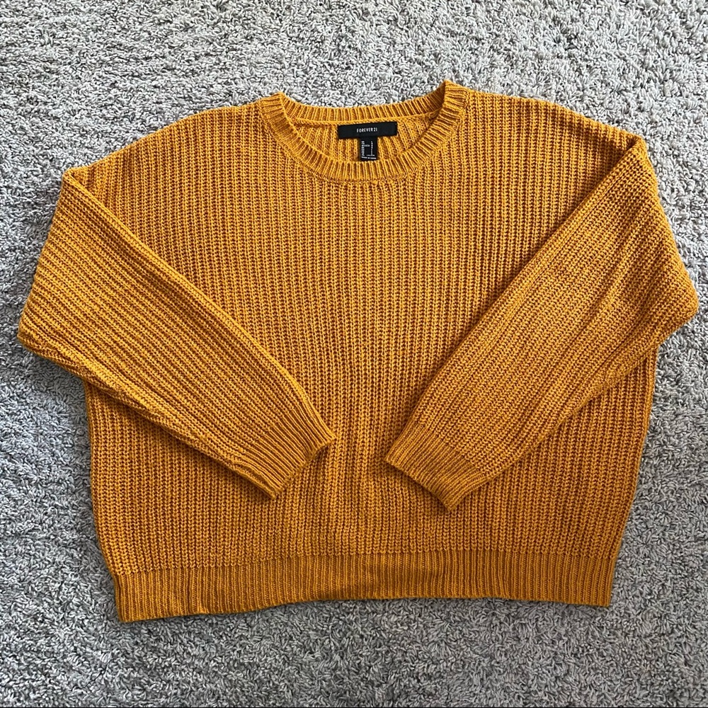 Forever 21 Cropped Sweater